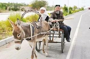 爆料二驴卖车视频大全,揭秘网红带货新潮流